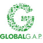 GLOBAL GAP